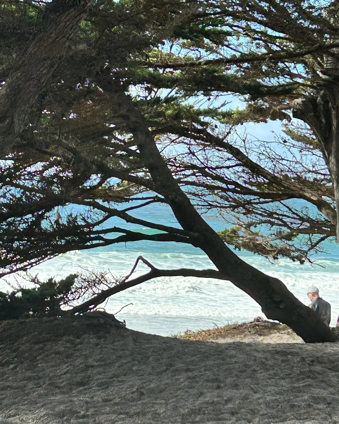 Carmel e Monterey (9)