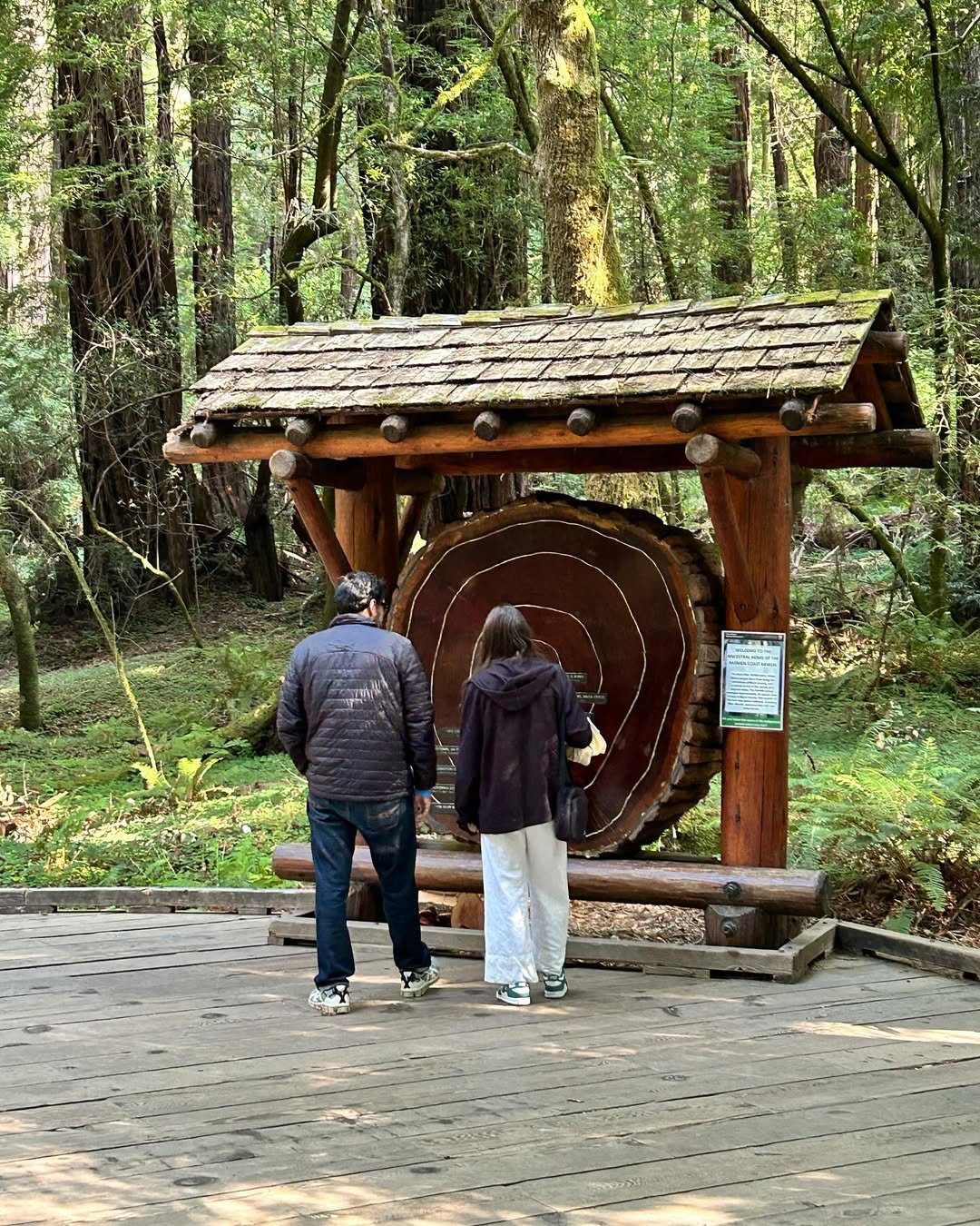 Muir Woods (4)