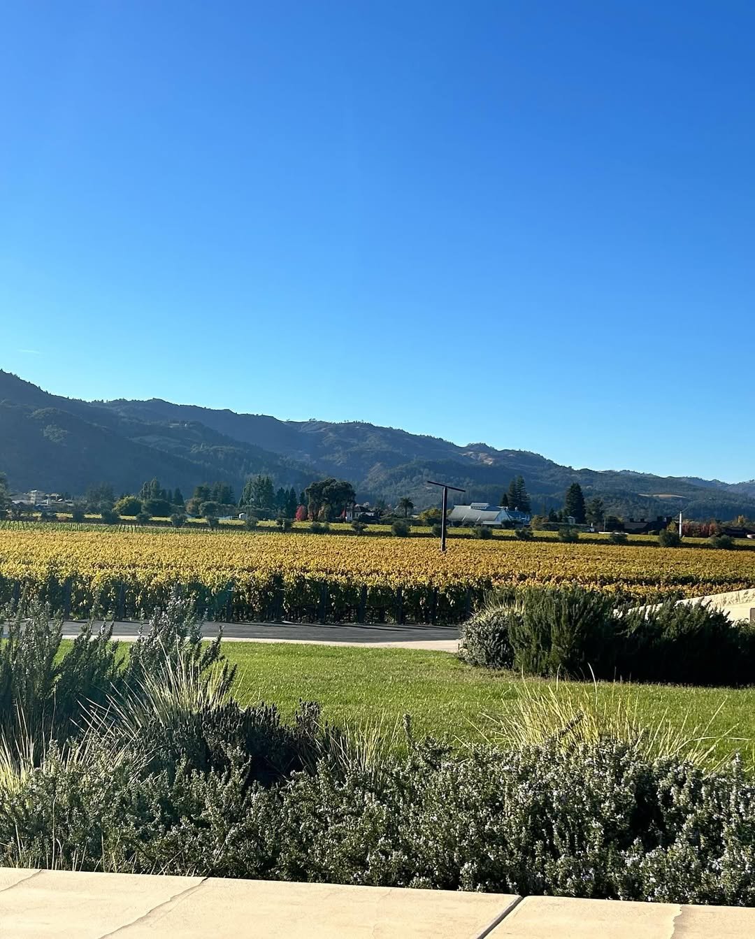 Napa Valley (13)