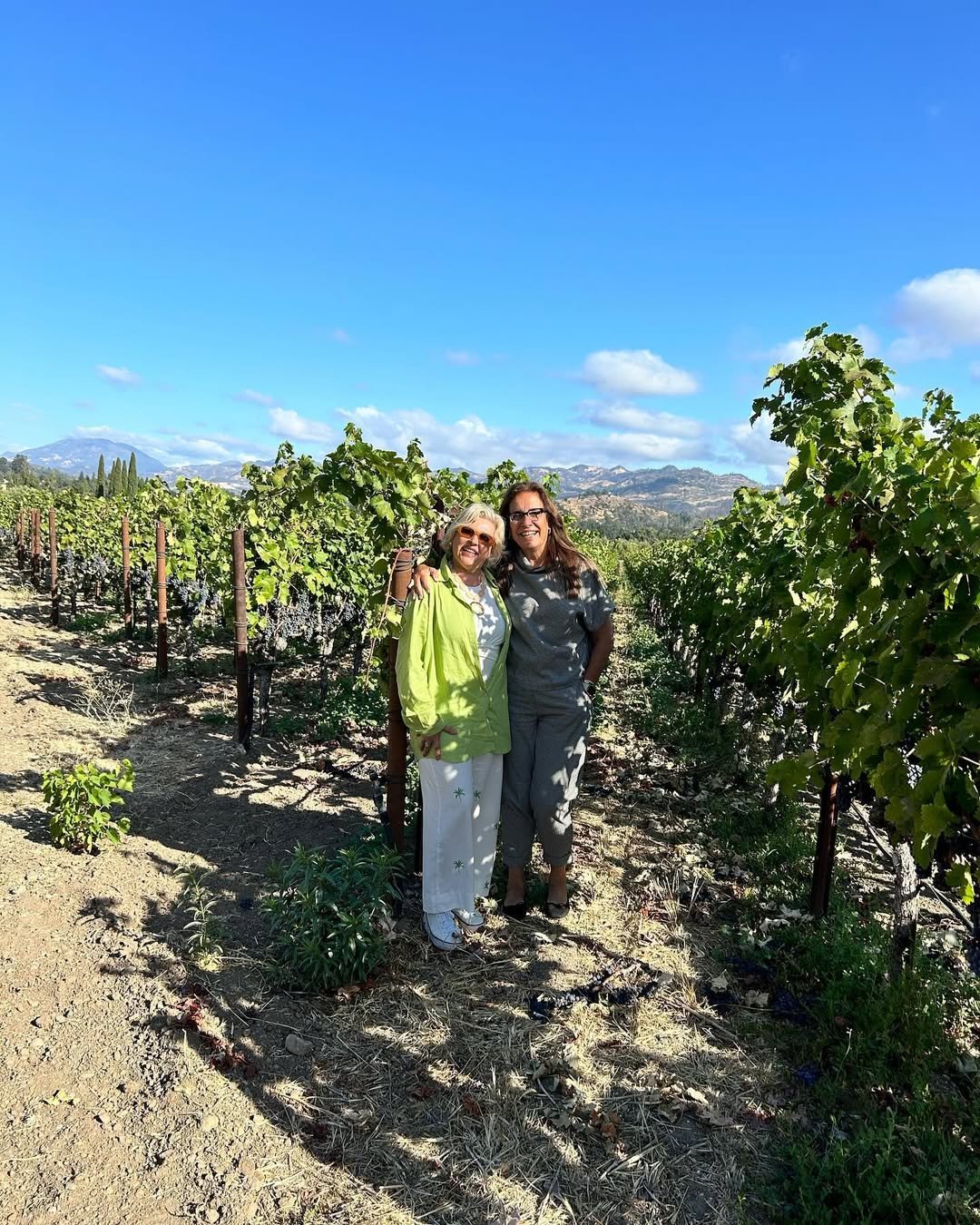 Napa Valley (16)