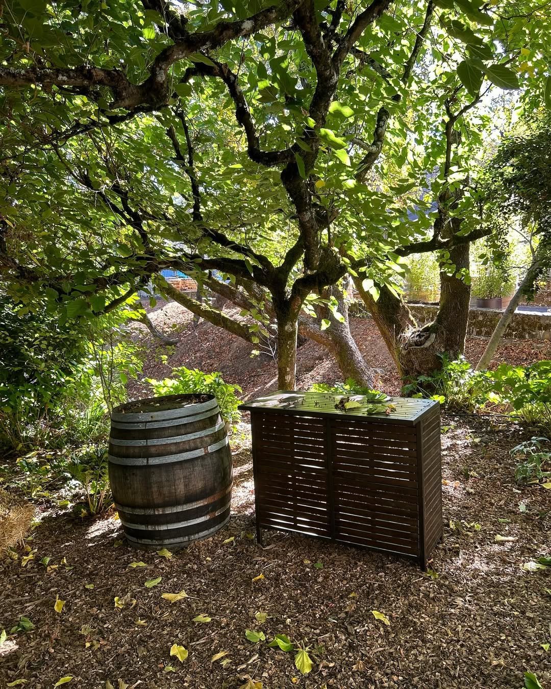 Napa Valley (3)