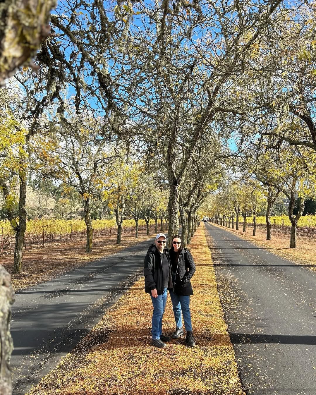 Napa Valley (6)