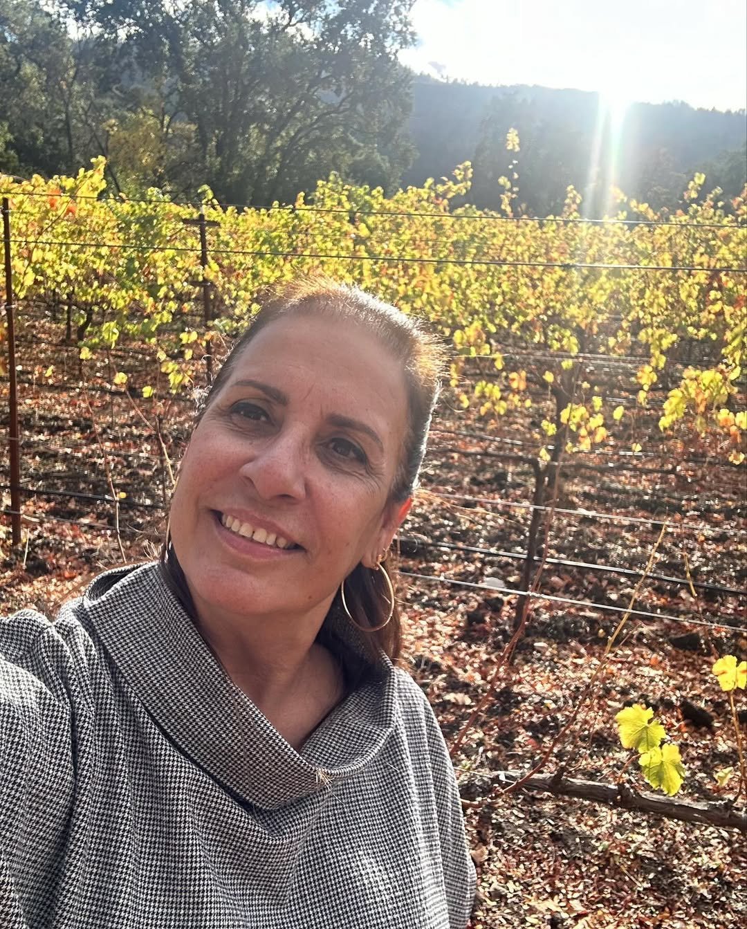 Napa Valley (9)